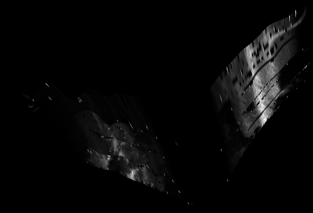 ascat_grayscale_proj_forward.png